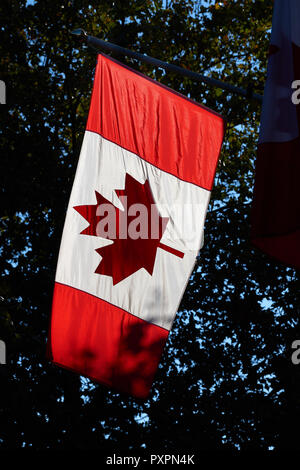 Bandiera canadese al di fuori dell'Ambasciata, Trafalgar Square, Londra, Inghilterra. Foto Stock