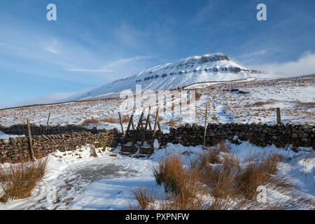 Vista invernale di Pen-y-Ghent, uno del Yorkshire tre picchi nel Yorkshire Dales National Park Dopo una notte di neve Foto Stock