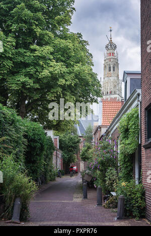 La torre del Grote Kerk o Saint Bavokerk in haarlem nei Paesi Bassi in background Foto Stock