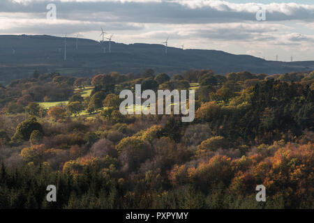 Maesgwyn wind farm in distanza al di là del bosco autunnale, Brecon Beacons, Ottobre 2018 Foto Stock