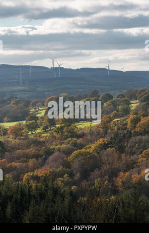 Maesgwyn wind farm in distanza al di là del bosco autunnale, Brecon Beacons, Ottobre 2018 Foto Stock