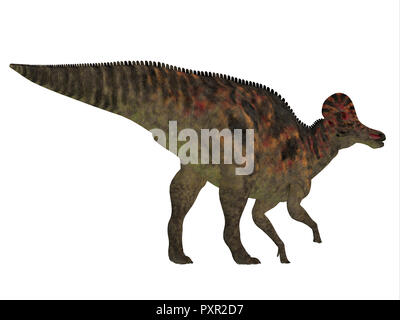 Dinosauro Corythosaurus Coda - Corythosaurus era un anatra fatturati dinosauro erbivoro che visse in Nord America durante il Cretacico. Foto Stock