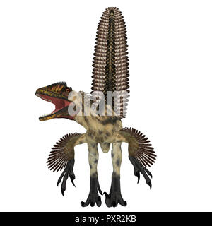 Dinosauro Deinonychus anteriore - Deinonychus era un carnivoro theropod dinosauro che ha vissuto in Nord America durante il Cretacico. Foto Stock