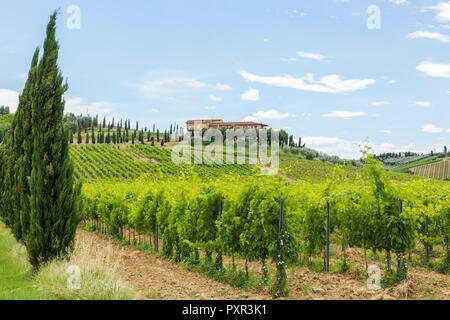 L'Italia, Toscana, Monsummano Terme Foto Stock