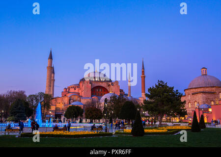 Turchia, Istanbul, parco con fontana, Hagia Sofia, Moschea in background all'ora blu Foto Stock