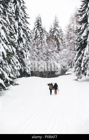 L'Italia, Modena, Cimone, vista posteriore del giovane con sci e snowboard e passeggiate nella foresta di inverno Foto Stock