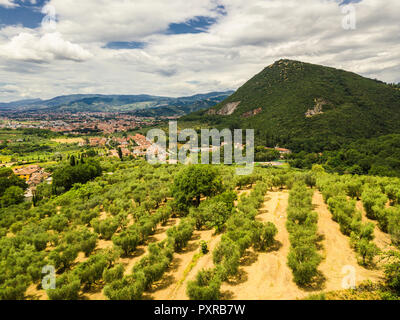 L'Italia, Toscana, Monsummano Terme Foto Stock