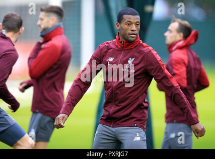 Melwood addestramento complesso, Liverpool, Regno Unito. 23 Ott, 2018. UEFA Champions League Football, Liverpool contro la Stella Rossa Belgrado conferenza stampa; Georginio Wijnaldum di Liverpool si riscalda il credito: Azione Plus sport/Alamy Live News Foto Stock