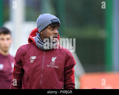 Melwood addestramento complesso, Liverpool, Regno Unito. 23 Ott, 2018. UEFA Champions League Football, Liverpool contro la Stella Rossa Belgrado conferenza stampa; Divock Origi di Liverpool riscaldamento Credito: Azione Sport Plus/Alamy Live News Foto Stock