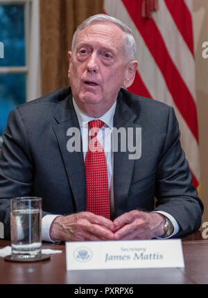 Washington DC, Stati Uniti d'America. 23 ott 2018. Stati Uniti il Segretario della Difesa James Mattis risponde a una domanda dopo il presidente statunitense Trump ha fatto una dichiarazione ai media come egli si prepara a ricevere un briefing da alti capi militari nel Cabinet Room della Casa Bianca di Washington, DC Martedì, Ottobre 23, 2018. Il Presidente ha preso le domande sulle proposte di forza dello spazio, immigrazione, il caravan e Arabia azioni nell'uccisione di Jamal Khashoggi. Credito: MediaPunch Inc/Alamy Live News Foto Stock