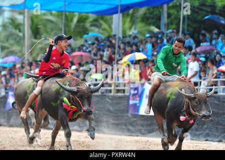 Chonburi, Thailandia. 23 Ott, 2018. I piloti si sfidano durante la bufala racing in Chonburi, Thailandia, Ottobre 23, 2018. Centinaia di bufale ha preso parte la secolare buffalo racing festival che si tiene annualmente nel mese di ottobre tra i coltivatori di riso per celebrare il raccolto di riso. Credito: Rachen Sageamsak/Xinhua/Alamy Live News Foto Stock