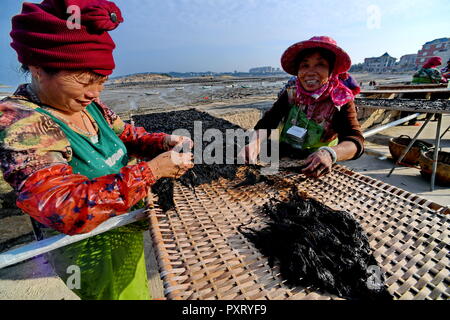 (181024) -- PUTIAN, 24 ottobre, 2018 (Xinhua) -- la gente a secco nella conca del sole nel villaggio Jiangshan di Putian, a sud-est della Cina di provincia del Fujian, 24 ottobre, 2018. Oltre 200 famiglie coltivano laver a offshore allevamenti marini in Jiangshan. Gli agricoltori locali sono impegnati nella raccolta di 133 ettari di conca. (Xinhua/Zhang Guojun)(mcg) Foto Stock