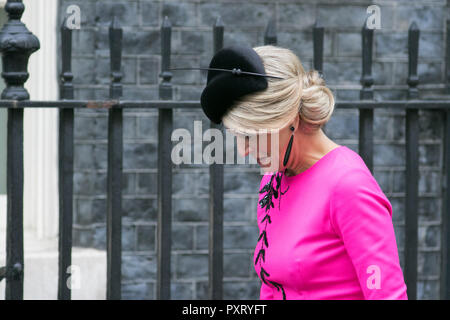 Londra REGNO UNITO. Il 24 ottobre 2018. Willem-Alexander re e regina Máxima dei Paesi Bassi sono stati accolti a Downing Street dal Primo Ministro Theresa Maggio Credito: amer ghazzal/Alamy Live News Foto Stock