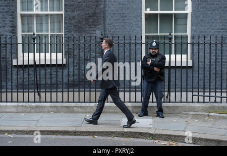 10 Downing Street, Londra, Regno Unito. 24 ottobre, 2018. Segretario di Stato per gli affari esteri Jeremy Hunt arriva a Downing Street prima della data di arrivo del re Willem Alexander e la Regina Maxima dei Paesi Bassi durante i due giorni di visita di Stato. Credito: Malcolm Park/Alamy Live News. Foto Stock