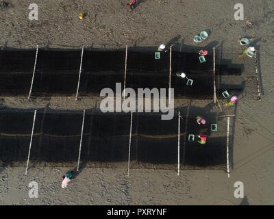 (181024) -- PUTIAN, 24 ottobre, 2018 (Xinhua) -- persone messe laver al sole nel villaggio Jiangshan di Putian, a sud-est della Cina di provincia del Fujian, 24 ottobre, 2018. Oltre 200 famiglie coltivano laver a offshore allevamenti marini in Jiangshan. Gli agricoltori locali sono impegnati nella raccolta di 133 ettari di conca. (Xinhua/Jiang Kehong)(mcg) Foto Stock