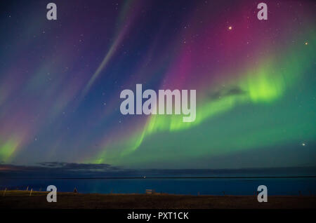 Colorate luci del nord aurora boreale con verde fiamme viola obver sul mare nel sud dell'Islanda Foto Stock