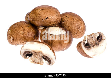 Diversi gli champignon marrone isolati su sfondo bianco. Foto Studio Foto Stock