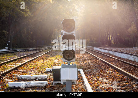 Il traffico ferroviario con luce naturale baclkight sun flare. Stazione ferroviaria e Semaphore nella bellissima foresta di autunno Foto Stock