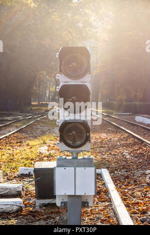 Il traffico ferroviario con luce naturale baclkight sun flare. Stazione ferroviaria e Semaphore nella bellissima foresta di autunno Foto Stock