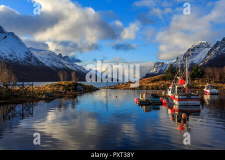 Ersfjordbotn Autunno in inverno paesaggio panoramico immagini prese su Kvaloya isola nei pressi di Tromso Norvegia Foto Stock