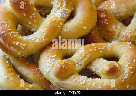 Primo piano di una piastra di fatti in casa, golden brown, Philadelphia pretzel morbidi Foto Stock