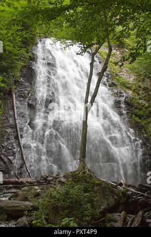 Una bella cascata sul Crabtree cade sentiero lungo la Blue Ridge Parkway in Western North Carolina mountains Foto Stock