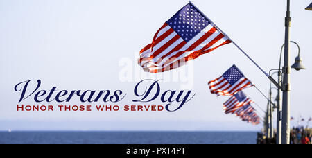 Bandierine americane con un giorno di veterani di saluto Foto Stock