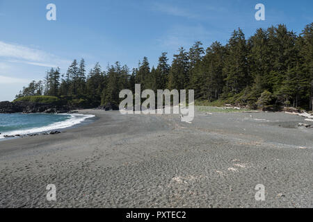 A sud della spiaggia in Pacific Rim Parco nazionale sull'Isola di Vancouver, British Columbia, Canada. Foto Stock