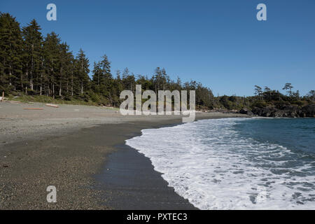 A sud della spiaggia in Pacific Rim Parco nazionale sull'Isola di Vancouver, British Columbia, Canada. Foto Stock