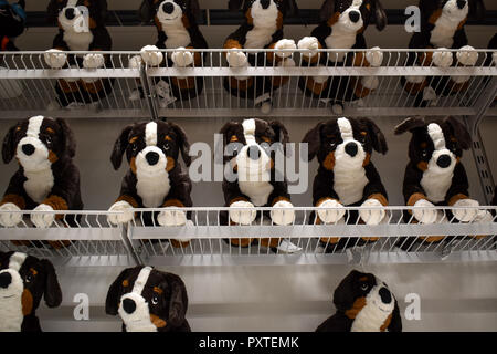 Animali impagliati cani su un ripiano Foto Stock