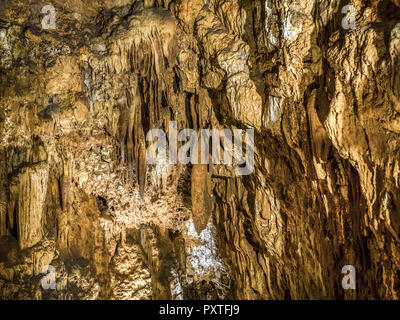 La Jama Baredine, grotta stalattitica, Istria, Croazia Foto Stock