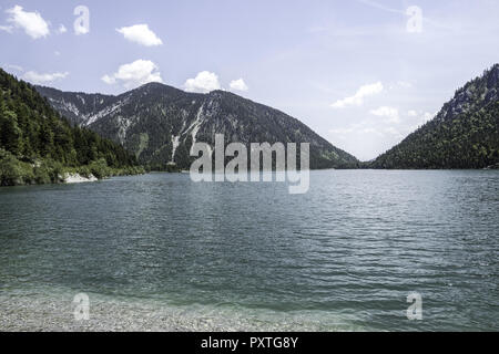 Tirol, Ausserfern, Plansee, Österreich, lago Plansee, Alpi Ammergau, Ammer montagne, Austria, Tirolo, Lakeshore, Nord, Ammergau, Alpi, Ammer, Austria Foto Stock