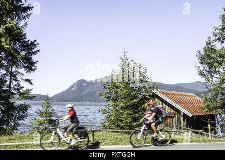 Blick auf den Walchensee, Tölzer Land, Isarwinkel, Bayern, Oberbayern, Deutschland Foto Stock