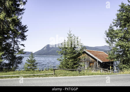 Blick auf den Walchensee, Tölzer Land, Isarwinkel, Bayern, Oberbayern, Deutschland Foto Stock