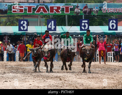 Chonburi, Thailandia. 23 Ott, 2018. Fantini competere in Chonburi annuale della gara di buffalo festival, ad est di Bangkok, il 23 ottobre 2018. La manifestazione che celebra anche il raccolto di riso, risale alla buffalo scambi di Chonburi, una volta che il centro commerciale di oriente. Credito: Chaiwat Subprasom/Pacific Press/Alamy Live News Foto Stock