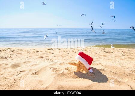 Starfish indossando il bianco e il rosso Santa hat sulla spiaggia con i gabbiani e acqua blu in background Foto Stock