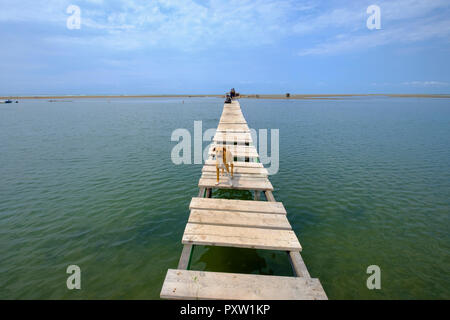 Albania, Divjake-Karavasta National Park, la spiaggia di Divjaka, cane sul molo sulla laguna Foto Stock