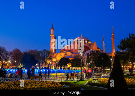 Turchia, Istanbul, parco con fontana, Hagia Sofia, Moschea in background all'ora blu Foto Stock