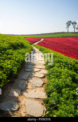 Cina, Parco a Tianhe-Pool-Park Foto Stock