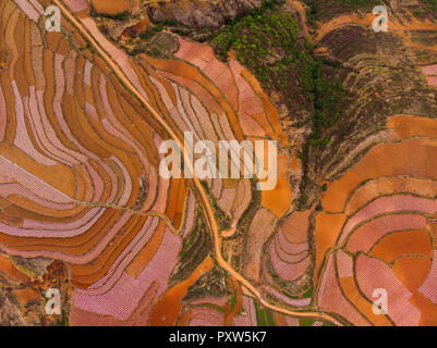 La Cina, nella provincia dello Yunnan, Dongchuan, terra rossa Foto Stock