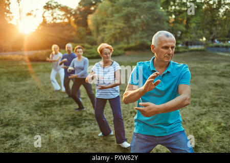 Gruppo di persone che fanno il Tai chi in un parco Foto Stock