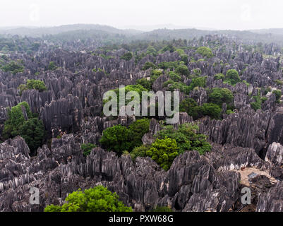 Cina, Shilin, la foresta di pietra Foto Stock