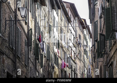 Altstadt di Siena, Toskana, Italien, Europa (www.allover.cc/TPH) Foto Stock