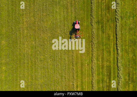 Trattore rosso l'andanatura fieno, top down vista aerea, agricoltura e allevamento Foto Stock