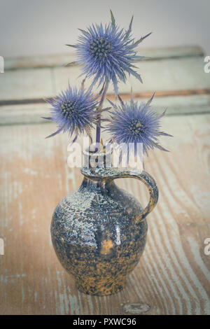 Thistle blu in un vaso Foto Stock