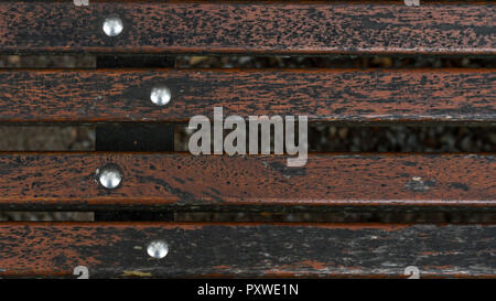 Panca in legno con viti in un parco Foto Stock