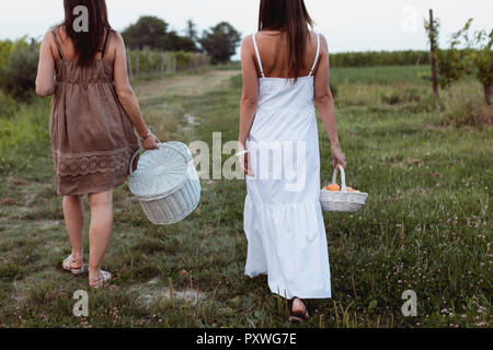 Amici a piedi vigneto portante Cestini da pic-nic Foto Stock