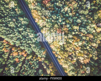 Strada attraverso colorate foresta di autunno Foto Stock