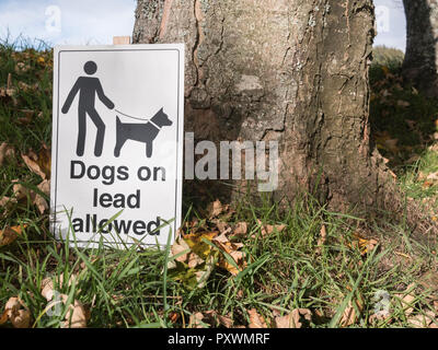 Firma chiedendo ai proprietari responsabili camminatori del cane di mantenere i loro animali domestici su un cavo. Foto Stock