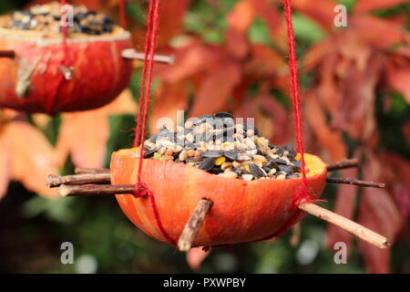 Home zucca fatta alimentatori di uccelli. A sinistra sopra le zucche riempito con semi per giardino degli uccelli in autunno, REGNO UNITO Foto Stock